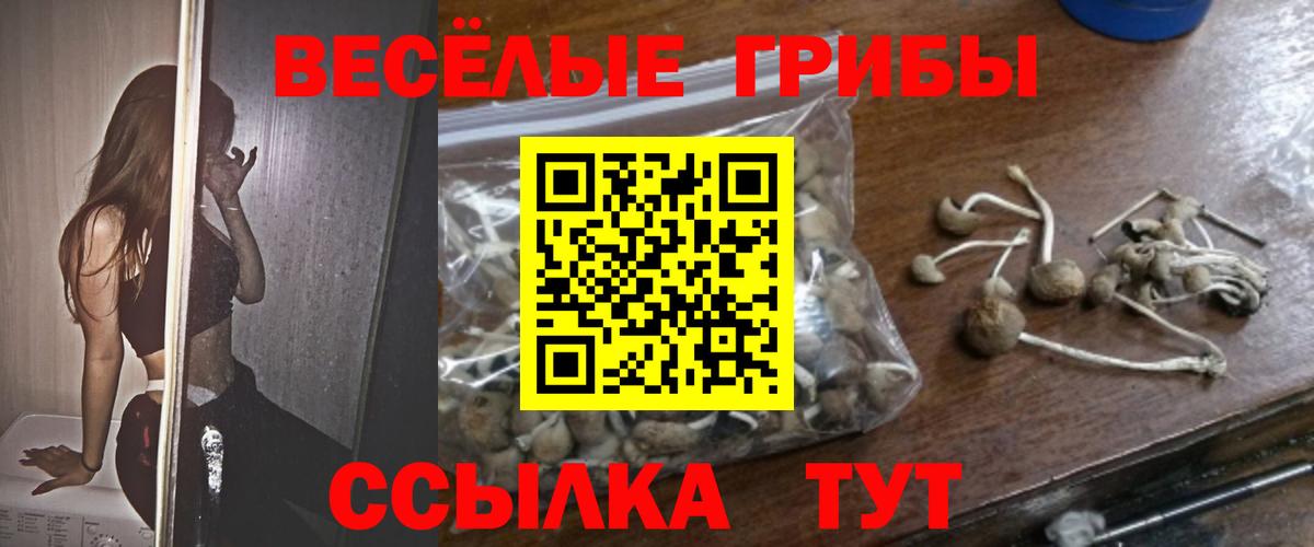 Галлюциногенные грибы MAGIC MUSHROOMS Таганрог